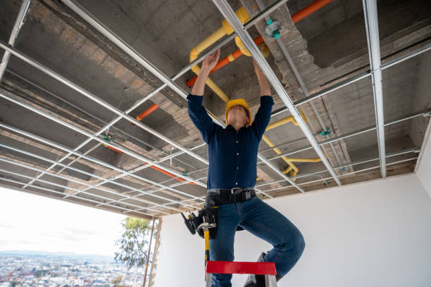 Best Emergency Plumbing Repair  in Lexington, TN