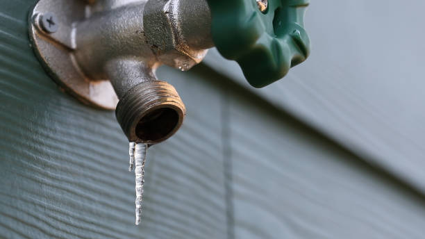Best Plumbing Repair Near Me  in Lexington, TN